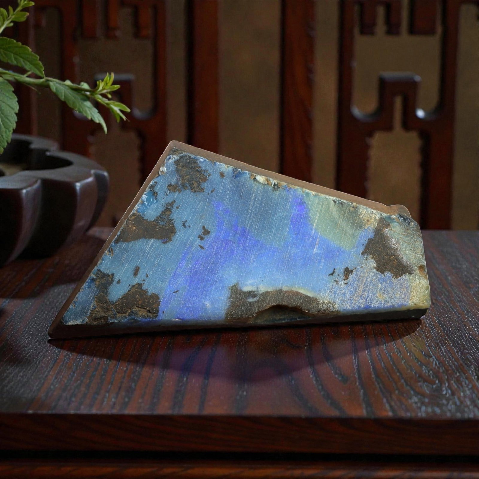 59.14 Carats Winton Boulder Opal Rough Specimen - Natural Queensland Origin, LZ88: This impressive Winton boulder opal rough is a striking example of Australian opal's dramatic natural beauty. The substantial ironstone matrix forms a rugged, earthy base, with a broad, polished face 