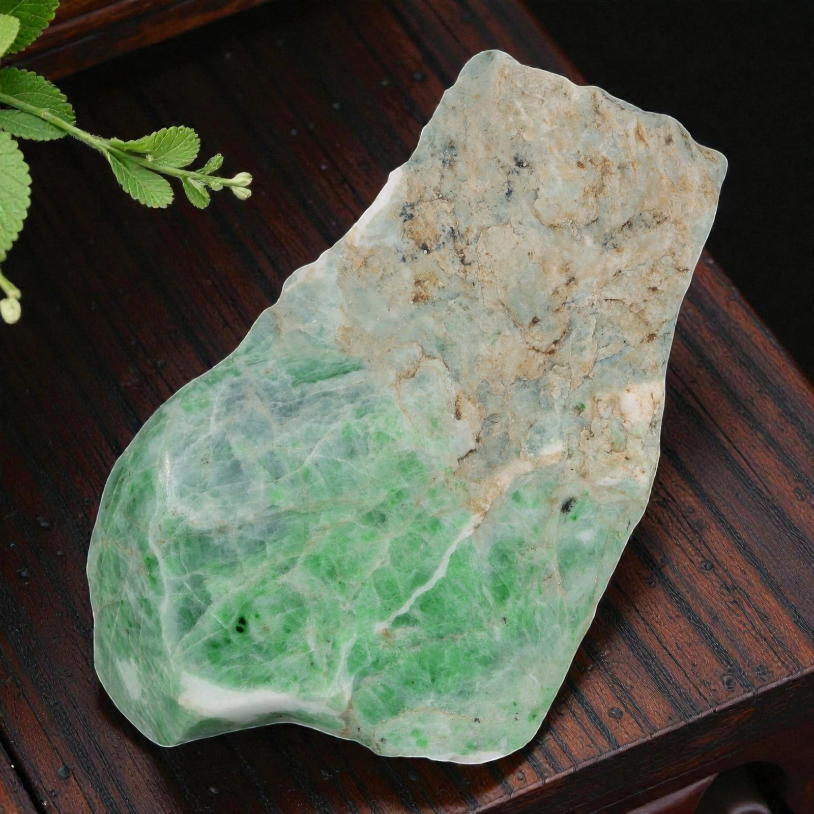 1740ct Natural Burmese Moss in Snow Jadeite Rough - Semi-Polished Green Slab, 76EA (1 of 2)