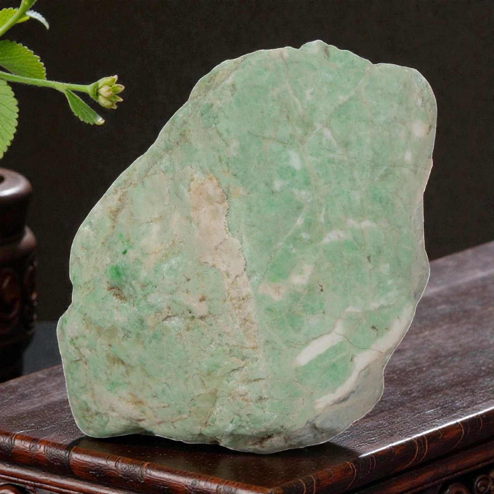 475ct Natural Burmese Light Green Jadeite Rough - Moss in Snow Pattern Stone, 57EA: This is a natural Type A Burmese jadeite rough stone, measuring 5.5x4cm and weighing 95g (475ct). It features a soft light green base naturally interwoven with pale white and earthy beige tones, formi