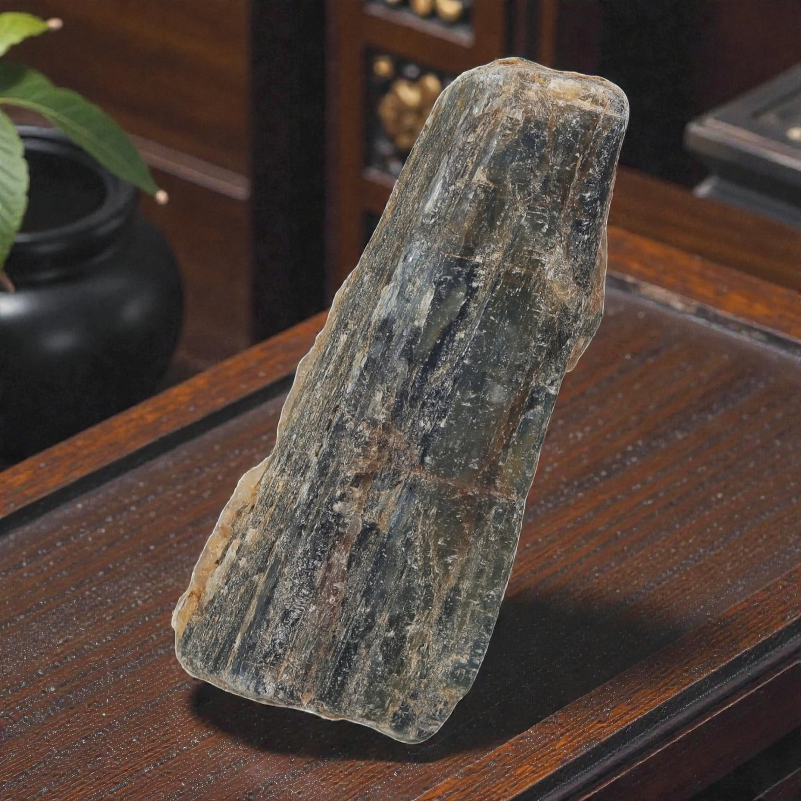 250 carats Natural Blue Kyanite Rough Crystal, 47ZB: This is a natural, unpolished kyanite crystal specimen, exhibiting the mineral's characteristic vertical striations and prismatic form. The crystal displays muted blue-grey tones interspersed with nat