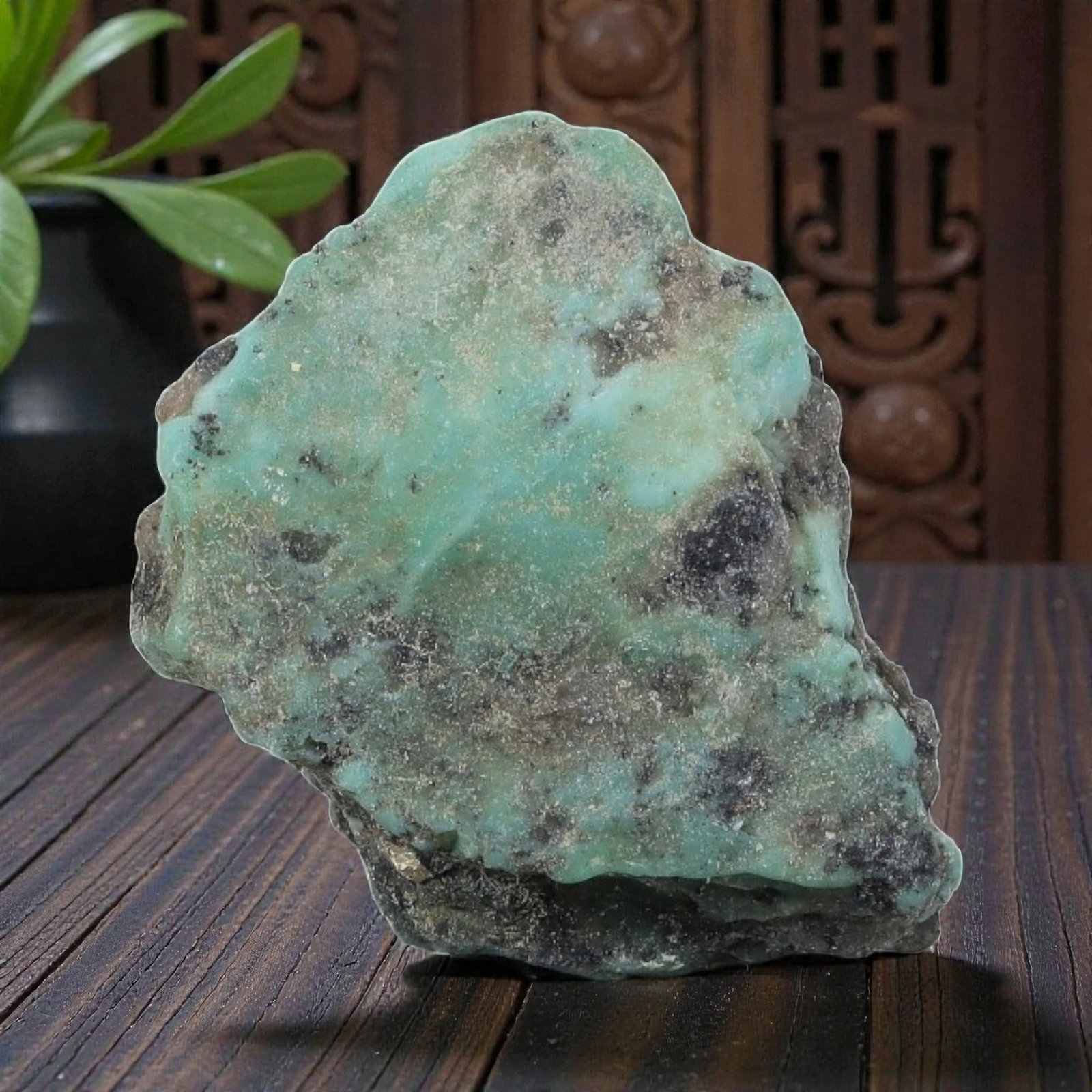 55ct Natural Kingman Turquoise Rough - Arizona USA, 39ZB: This is a natural, unpolished Kingman turquoise rough specimen from Arizona, USA, featuring striking light blue-green turquoise formations embedded within a dark, weathered host matrix. The stone reta