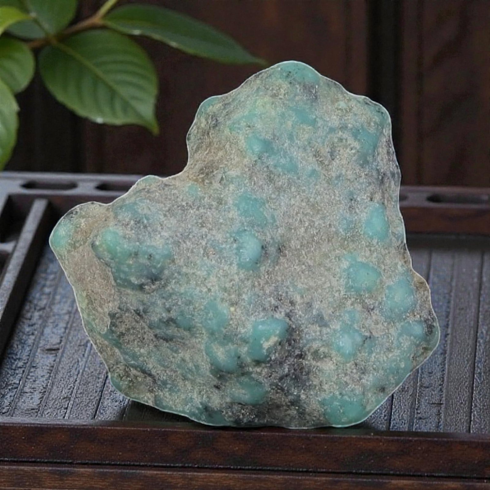 35ct Natural Kingman Turquoise Rough - Arizona USA, 31ZB: This is a natural, unpolished Kingman turquoise rough specimen from Arizona, USA, featuring bright turquoise nodules embedded within a weathered host matrix. The stone retains its completely unmodifie