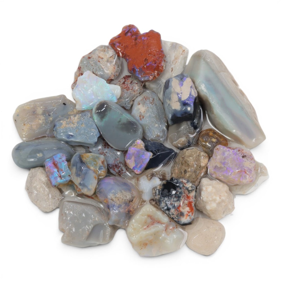 Natural Australian Lightning Ridge Opal Rough, 36g, 92WS: This collection of raw opal rough hails from Australia's legendary Lightning Ridge, showcasing the region's iconic play-of-color potential. The stones exhibit a range of natural hues, from milky white
