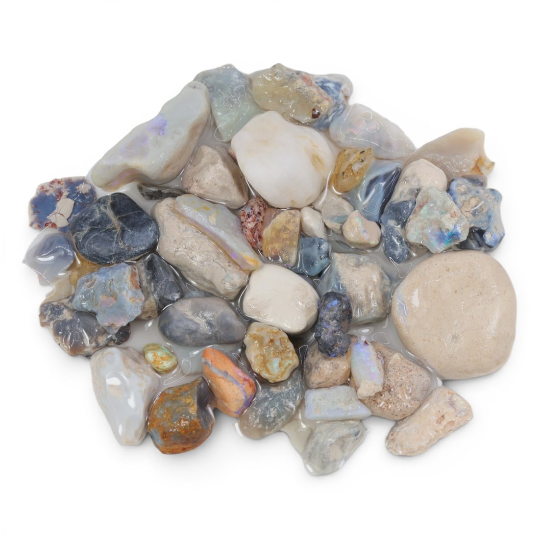 Natural Australian Lightning Ridge Opal Rough, 65g, 99WS: This collection of raw opal rough hails from Australia's legendary Lightning Ridge, showcasing the region's iconic play-of-color potential. The stones exhibit a range of natural hues, from milky white