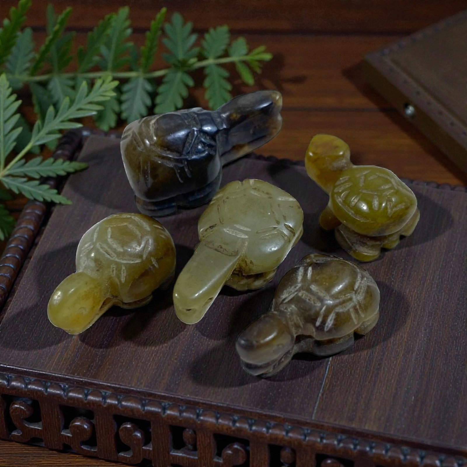 A Lot of 5 Antique Chinese Qing Dynasty Jade Tortoise Carvings, 99AA (1 of 1)
