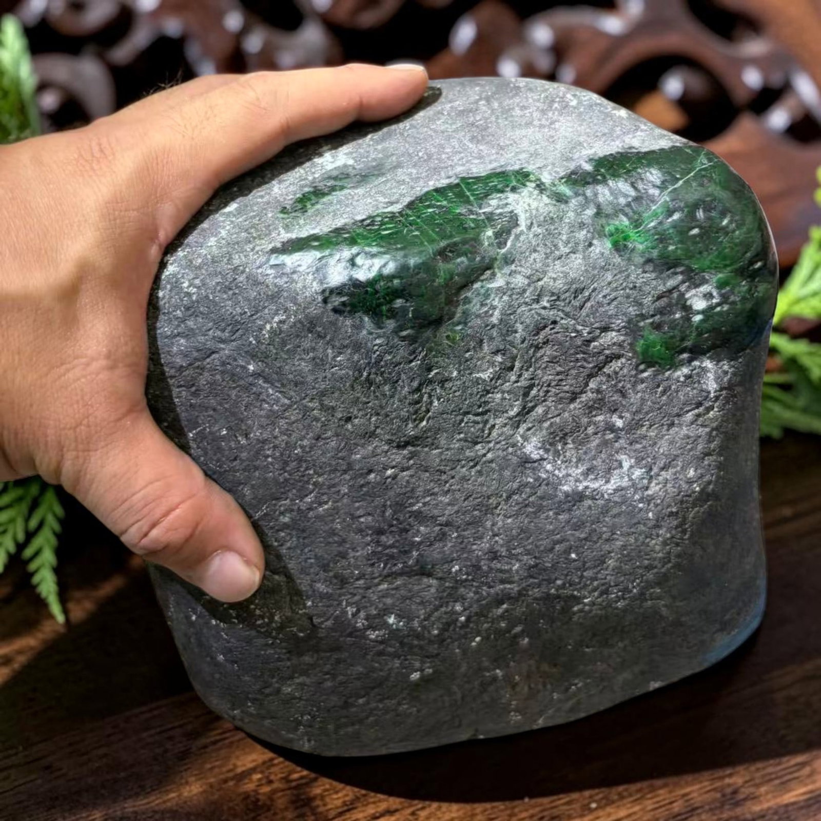 24lbs Natural Burmese Type A Imperial Green Jadeite Jade Rough - Black Skin Gamble Gemstone, 1B: This natural Burmese Type A jadeite jade rough specimen retains its original rugged black outer skin, with exposed vivid imperial green jadeite visible across the upper surface of the stone. The unpol