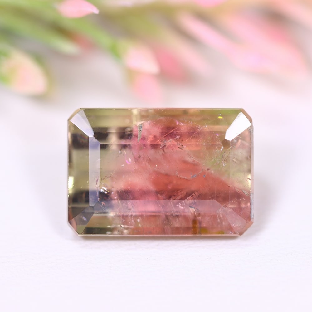 10.23cts Natural Watermelon Tourmaline - Bi-Colour Faceted Cut , 858E: Ksmith Heritage Auctioneers Subject: Natural Tourmaline Origin: Africa Carat Weight: 10.23 cts Dimension: 14.7x10.1x7.3 mm Type: Faceted, Polished