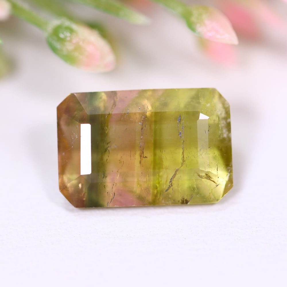 4.53cts Natural Watermelon Tourmaline - Bi-Colour Faceted Cut , 873E: Ksmith Heritage Auctioneers Subject: Natural Tourmaline Origin: Africa Carat Weight: 4.53 cts Dimension: 12.7x8.5x4.7 mm Type: Faceted, Polished