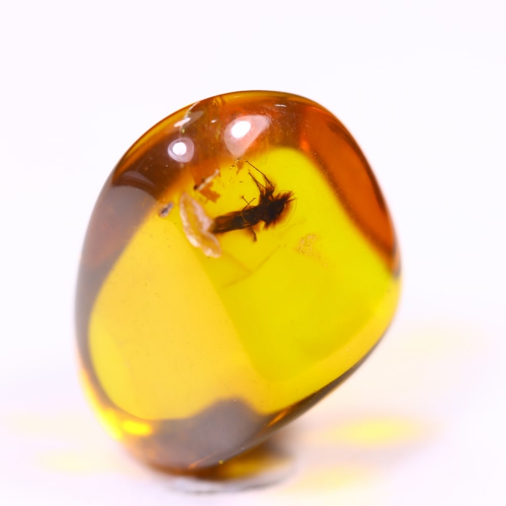 *3.12cts Natural Million Year Old Baltic Insect Amber, 13x9mm , 24C (1 of 2)