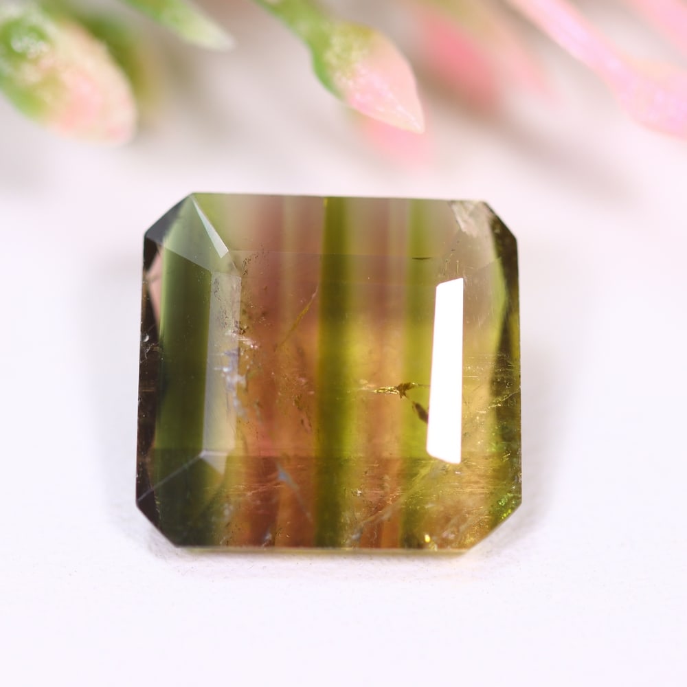 5.39cts Natural Watermelon Tourmaline - Bi-Colour Faceted Cut , 461E: Ksmith Heritage Auctioneers Subject: Natural Tourmaline Origin: Africa Carat Weight: 5.39 cts Dimension: 11.8x11.1x4.5 mm Type: Faceted, Polished