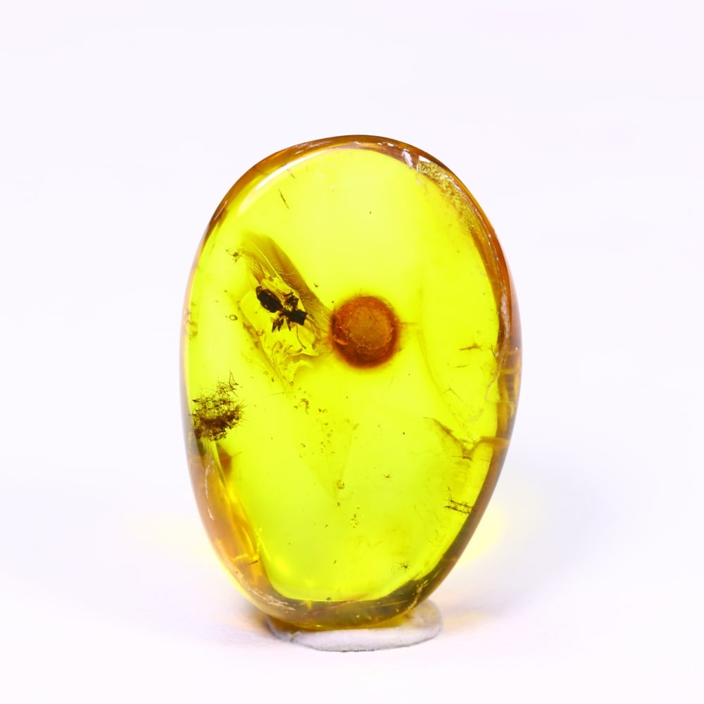*7.25cts Natural Million Year Old Baltic Insect Amber, 22x15mm , 30C (1 of 2)