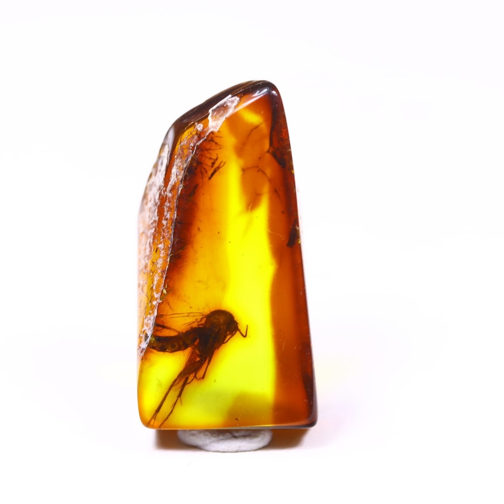 *6.83cts Natural Million Year Old Baltic Insect Amber, 21x11mm , 16C (1 of 3)