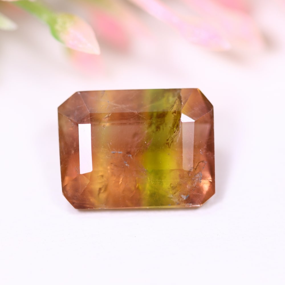 4.33cts Natural Watermelon Tourmaline - Bi-Colour Faceted Cut , 744E (1 of 3)