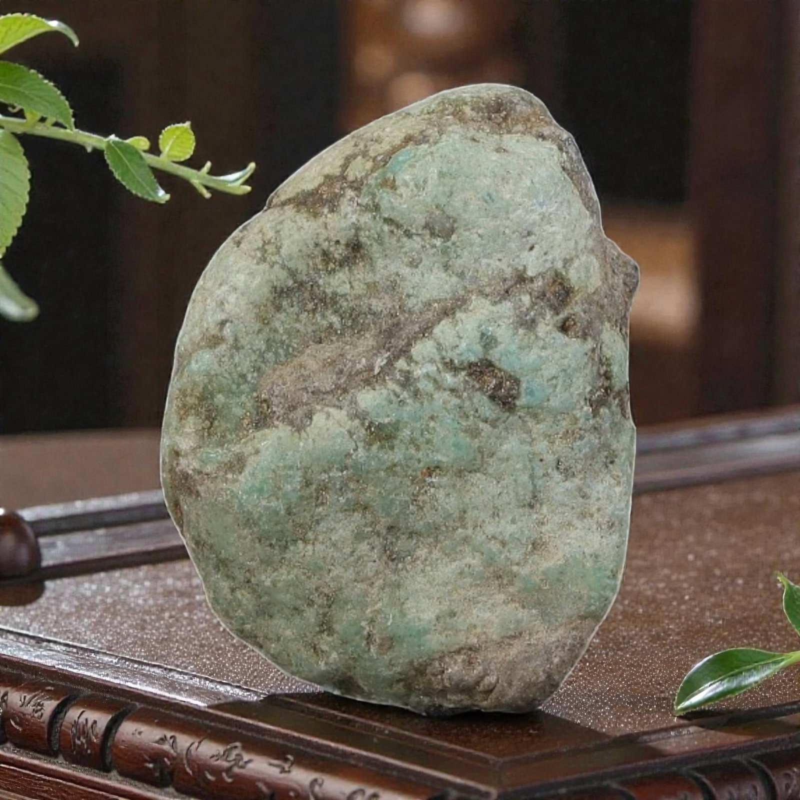 38ct Natural Kingman Turquoise Rough - Arizona USA, 28ZB: This is a natural, unpolished Kingman turquoise rough specimen from Arizona, USA, displaying soft greenish-blue turquoise hues within a naturally weathered, earthy host matrix. The stone retains its c