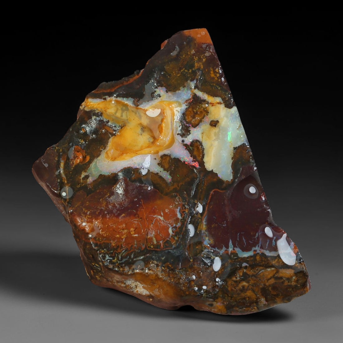 32.70ct Natural Australian Queensland Boulder Opal Sliced Slab Cutting Rough, 1AY: Natural sliced slab rough of Queensland boulder opal cutting grade, featuring rich color ironstone matrix with patterns. The face clearly reveals extensive opal veining and pocket formations running t