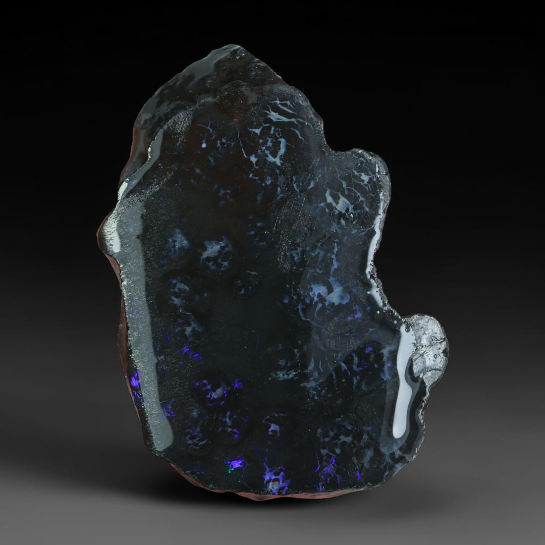 39.14ct Natural Australian Queensland Boulder Opal Sliced Slab Cutting Rough, 80AX: Natural sliced slab rough of Queensland boulder opal cutting grade, featuring rich color ironstone matrix with patterns. The face clearly reveals extensive opal veining and pocket formations running t