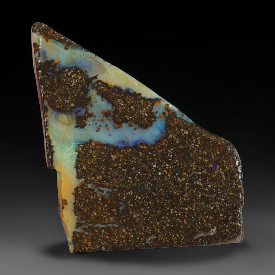 27.67ct Natural Australian Queensland Boulder Opal Sliced Slab Cutting Rough, 57AX: Natural sliced slab rough of Queensland boulder opal cutting grade, featuring rich color ironstone matrix with patterns. The face clearly reveals extensive opal veining and pocket formations running t