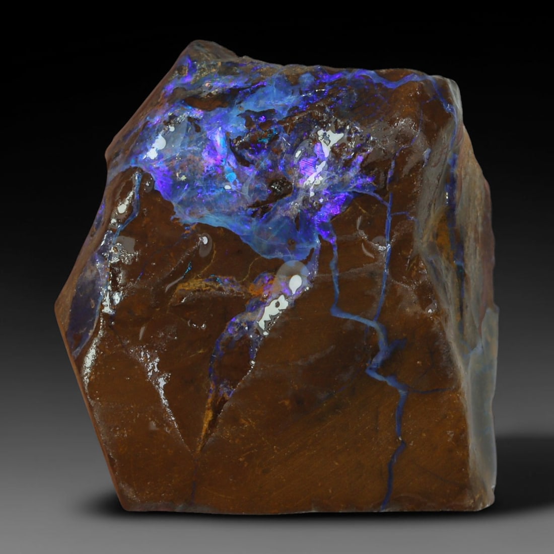 37.75ct Natural Australian Queensland Boulder Opal Sliced Slab Cutting Rough, 60AY: Natural sliced slab rough of Queensland boulder opal cutting grade, featuring rich color ironstone matrix with patterns. The face clearly reveals extensive opal veining and pocket formations running t