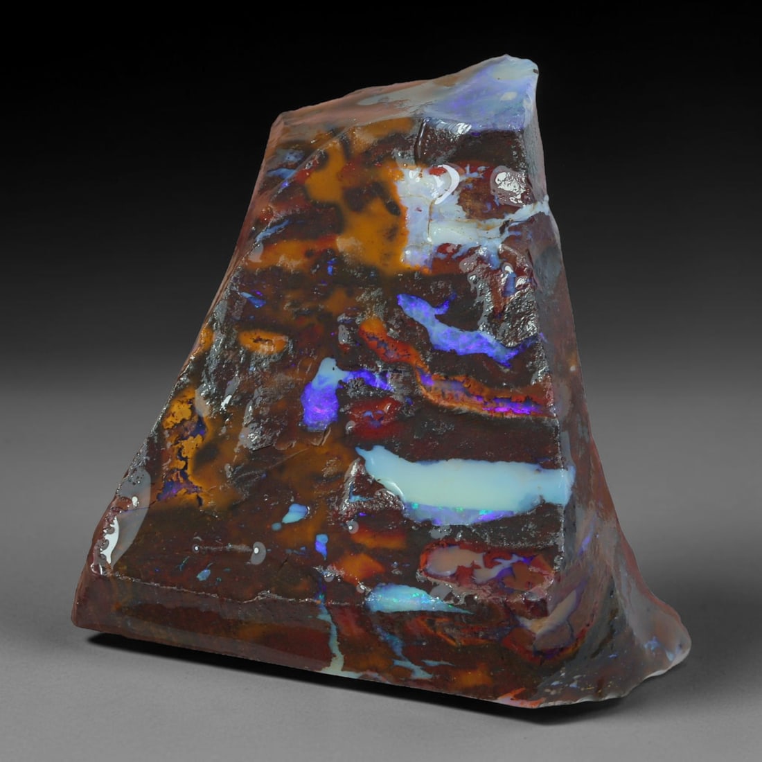 64.38ct Natural Australian Queensland Boulder Opal Sliced Slab Cutting Rough, 28AY: Natural sliced slab rough of Queensland boulder opal cutting grade, featuring rich color ironstone matrix with patterns. The face clearly reveals extensive opal veining and pocket formations running t