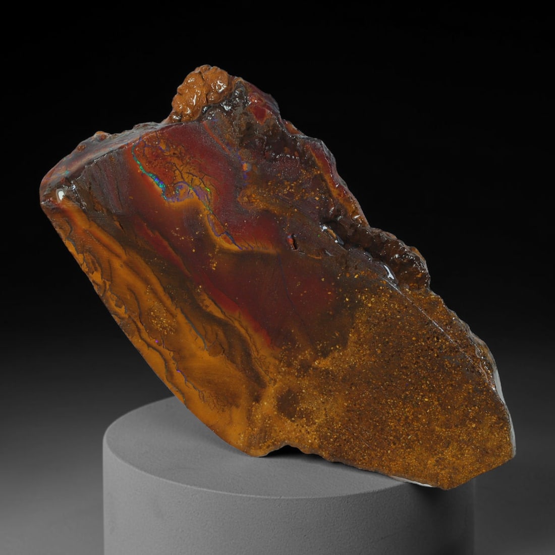 43.76ct Natural Australian Queensland Boulder Opal Sliced Slab Cutting Rough, 44AY: Natural sliced slab rough of Queensland boulder opal cutting grade, featuring rich color ironstone matrix with patterns. The face clearly reveals extensive opal veining and pocket formations running t