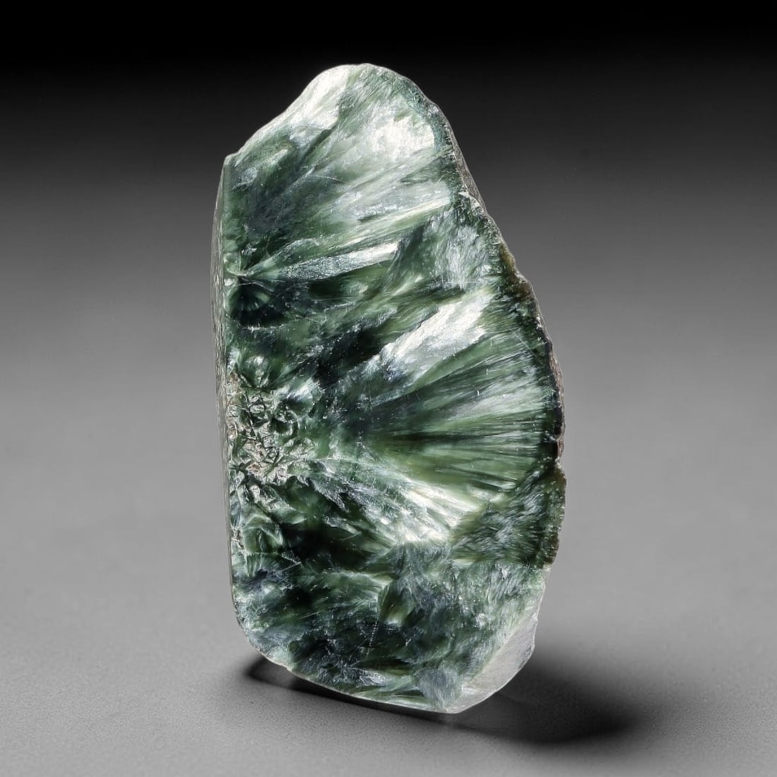 76ct Natural Siberian Seraphinite Polished Rough Slab, 87FB: This polished mineral slab is natural seraphinite originating from Siberian deposits, displaying characteristic radiating crystalline fibrous formations with layered deep forest and silvery green band