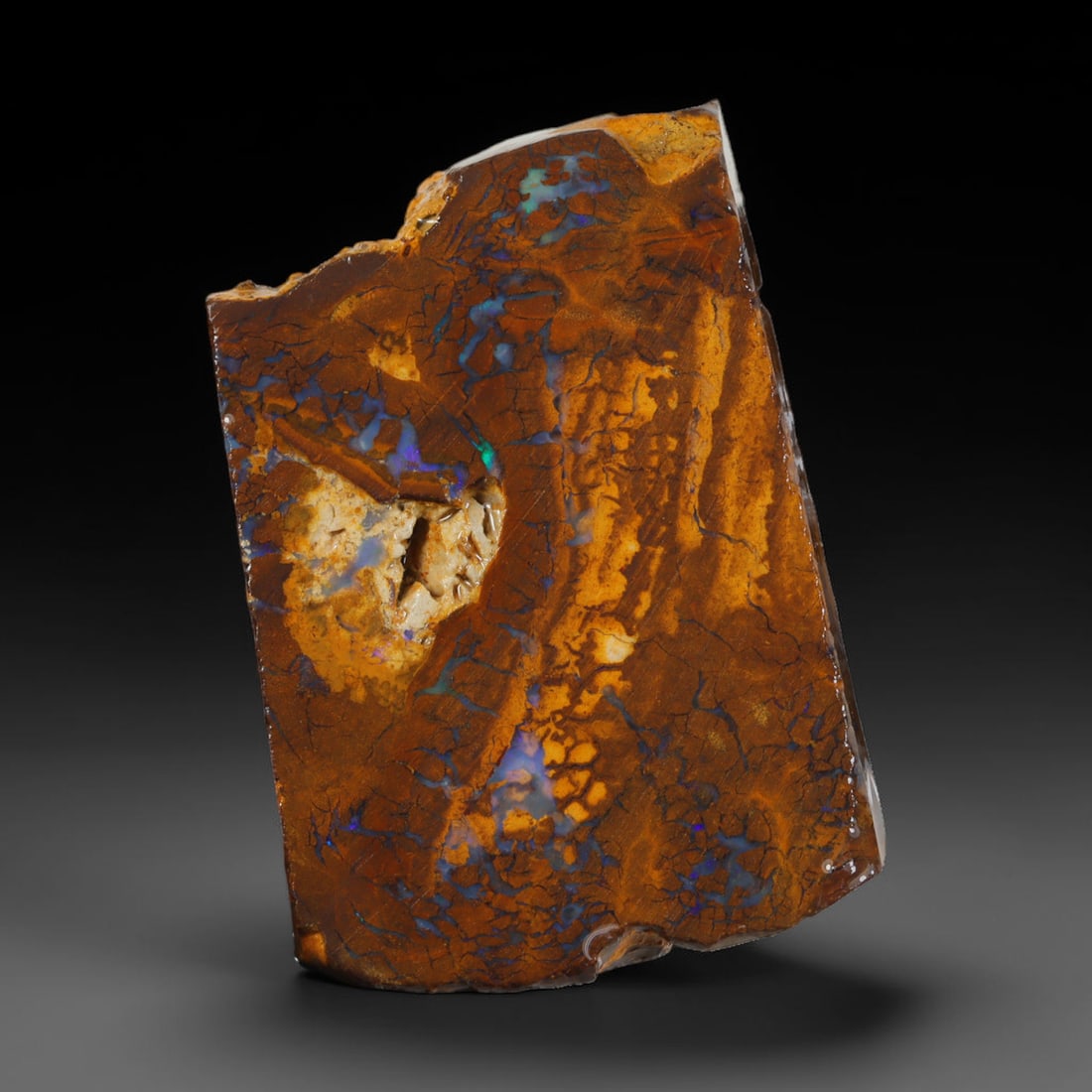 68.57ct Natural Australian Queensland Boulder Opal Sliced Slab Cutting Rough, 51AX: Natural sliced slab rough of Queensland boulder opal cutting grade, featuring rich color ironstone matrix with patterns. The face clearly reveals extensive opal veining and pocket formations running t