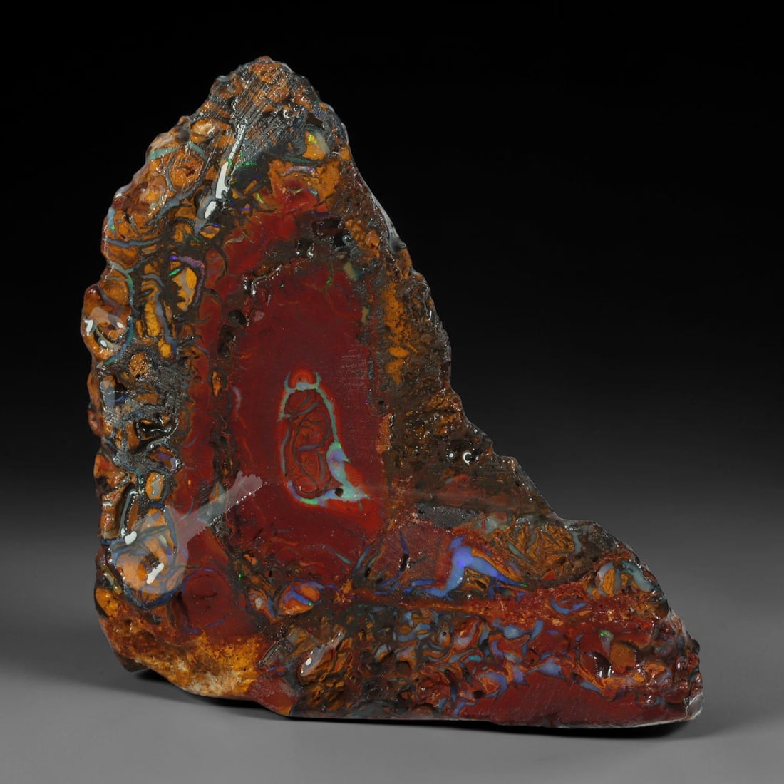 48.21ct Natural Australian Queensland Boulder Opal Sliced Slab Cutting Rough, 36AY: Natural sliced slab rough of Queensland boulder opal cutting grade, featuring rich color ironstone matrix with patterns. The face clearly reveals extensive opal veining and pocket formations running t
