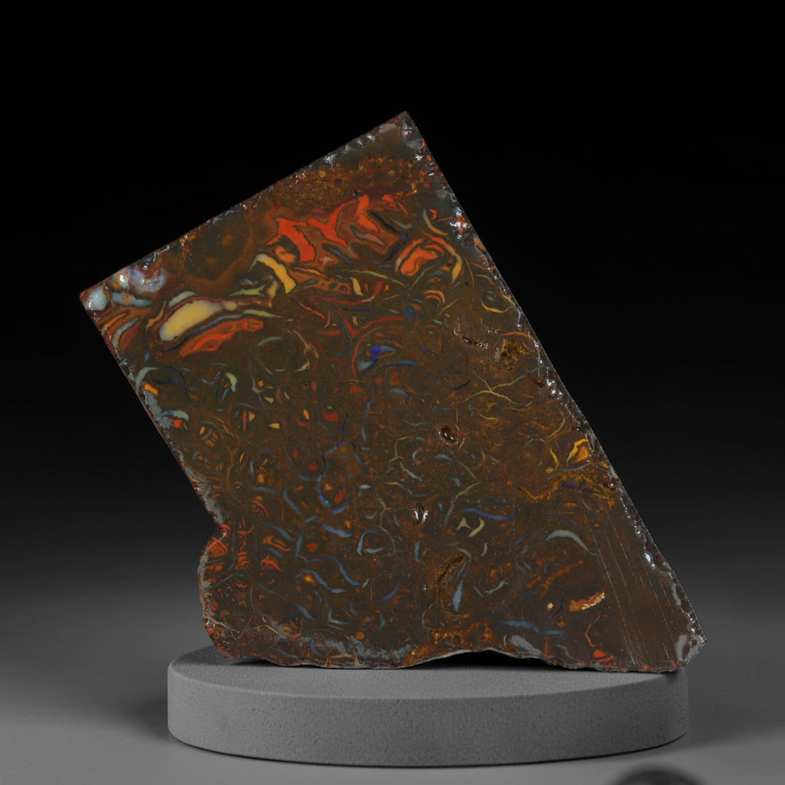 66.24ct Natural Australian Queensland Boulder Opal Sliced Slab Cutting Rough, 3AX: Natural sliced slab rough of Queensland boulder opal cutting grade, featuring rich color ironstone matrix with patterns. The face clearly reveals extensive opal veining and pocket formations running t
