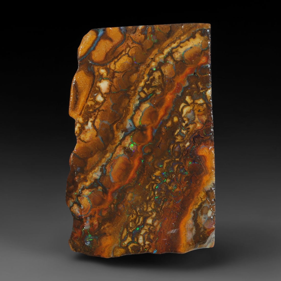 14.54ct Natural Australian Queensland Boulder Opal Sliced Slab Cutting Rough, 66AX: Natural sliced slab rough of Queensland boulder opal cutting grade, featuring rich color ironstone matrix with patterns. The face clearly reveals extensive opal veining and pocket formations running t