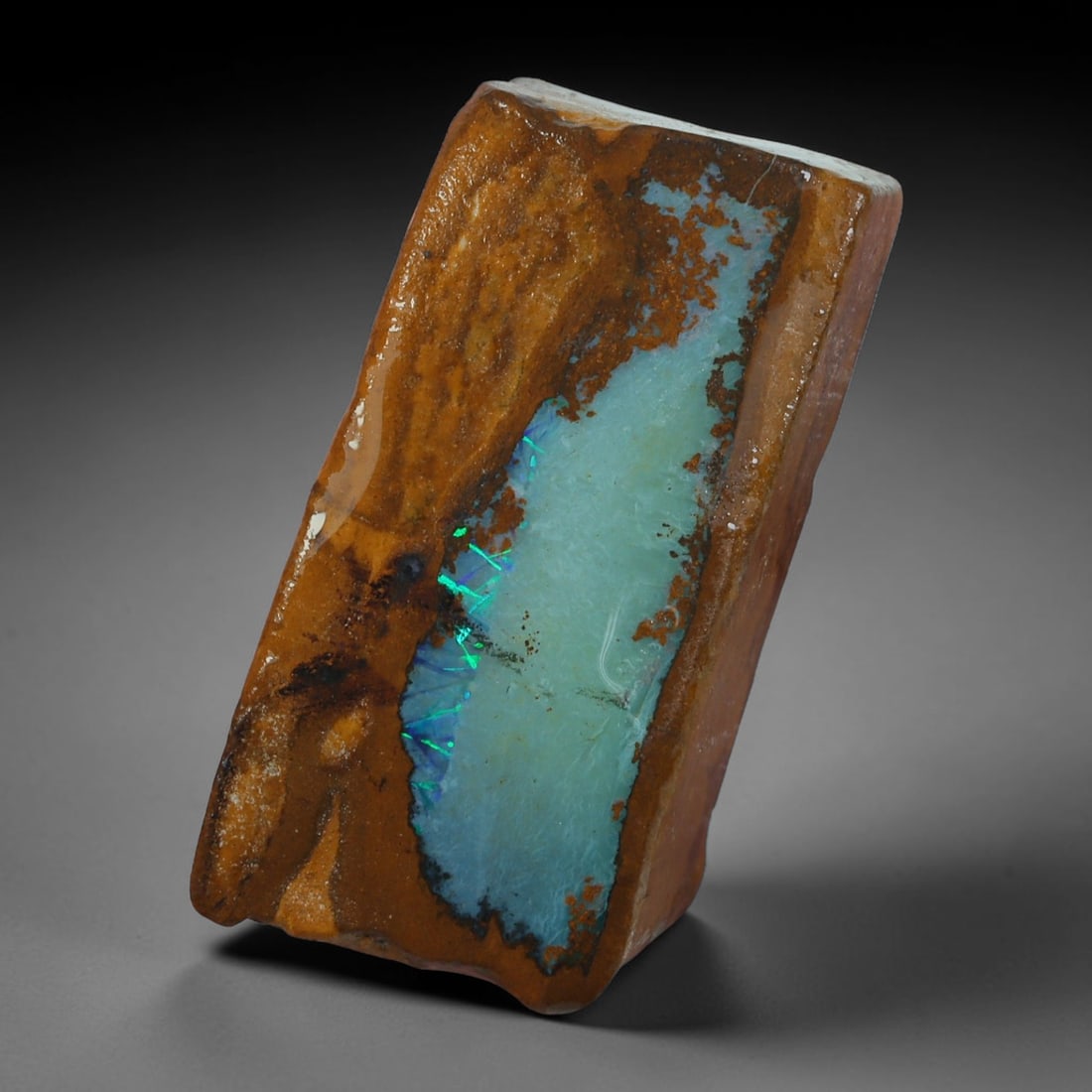 25.27ct Natural Australian Queensland Boulder Opal Sliced Slab Cutting Rough, 69AY: Natural sliced slab rough of Queensland boulder opal cutting grade, featuring rich color ironstone matrix with patterns. The face clearly reveals extensive opal veining and pocket formations running t