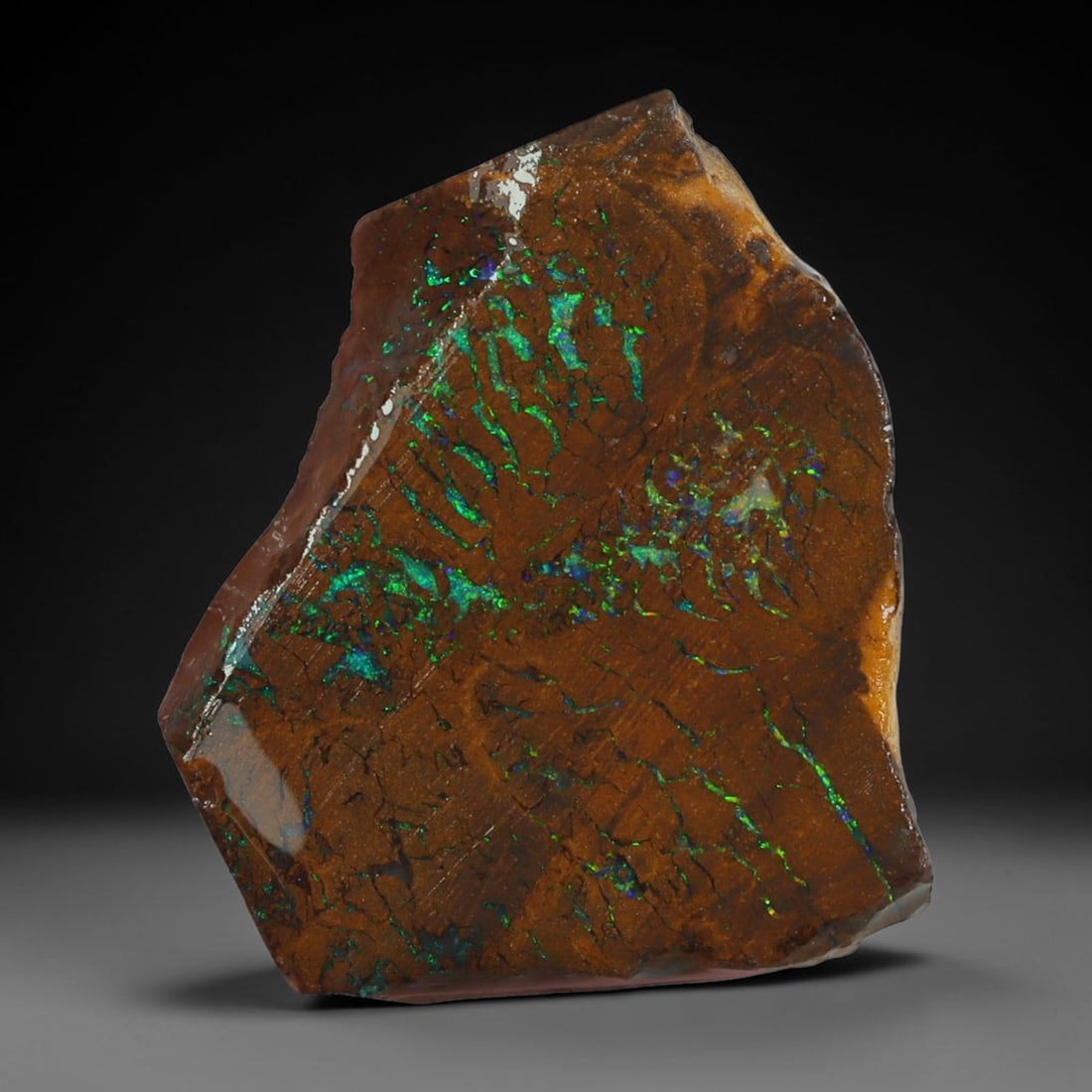 17.54ct Natural Australian Queensland Boulder Opal Sliced Slab Cutting Rough, 74AX: Natural sliced slab rough of Queensland boulder opal cutting grade, featuring rich color ironstone matrix with patterns. The face clearly reveals extensive opal veining and pocket formations running t