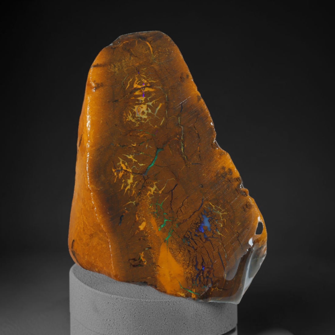 61.80ct Natural Australian Queensland Boulder Opal Sliced Slab Cutting Rough, 89AV: Natural sliced slab rough of Queensland boulder opal cutting grade, featuring rich color ironstone matrix with patterns. The face clearly reveals extensive opal veining and pocket formations running t
