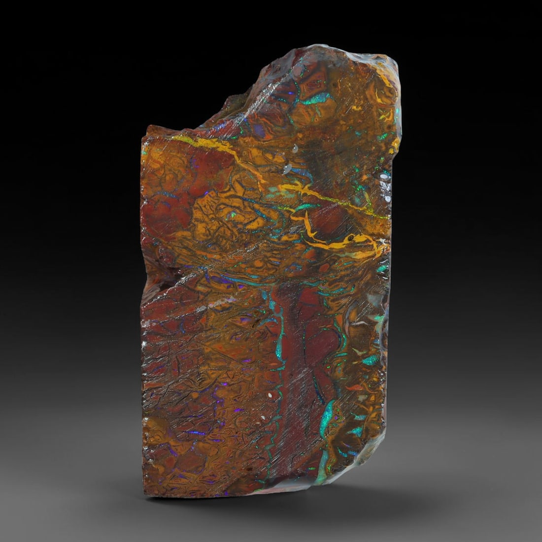 70.61ct Natural Australian Queensland Boulder Opal Sliced Slab Cutting Rough, 84AV: Natural sliced slab rough of Queensland boulder opal cutting grade, featuring rich color ironstone matrix with patterns. The face clearly reveals extensive opal veining and pocket formations running t