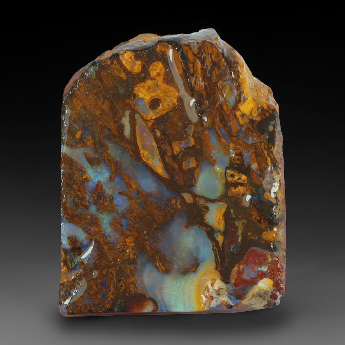 35.25ct Natural Australian Queensland Boulder Opal Sliced Slab Cutting Rough, 68AX: Natural sliced slab rough of Queensland boulder opal cutting grade, featuring rich color ironstone matrix with patterns. The face clearly reveals extensive opal veining and pocket formations running t