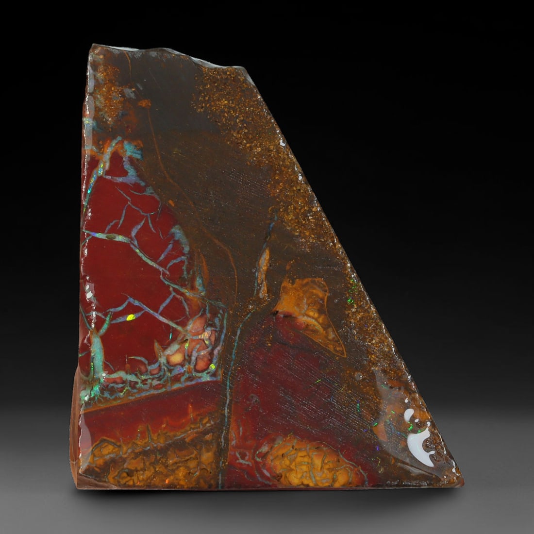 51.78ct Natural Australian Queensland Boulder Opal Sliced Slab Cutting Rough, 82AX: Natural sliced slab rough of Queensland boulder opal cutting grade, featuring rich color ironstone matrix with patterns. The face clearly reveals extensive opal veining and pocket formations running t