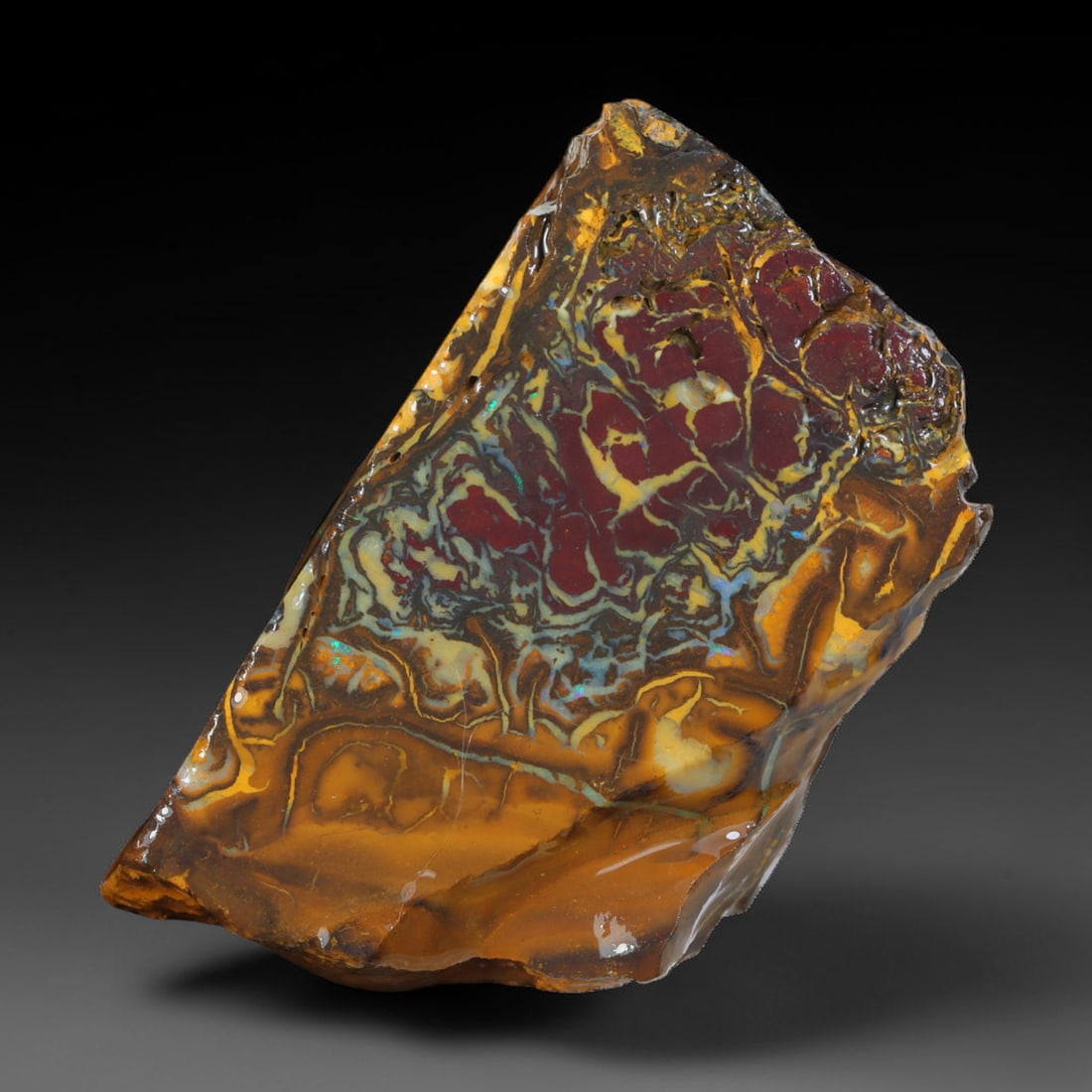 87.55ct Natural Australian Queensland Boulder Opal Sliced Slab Cutting Rough, 36AX: Natural sliced slab rough of Queensland boulder opal cutting grade, featuring rich color ironstone matrix with patterns. The face clearly reveals extensive opal veining and pocket formations running t