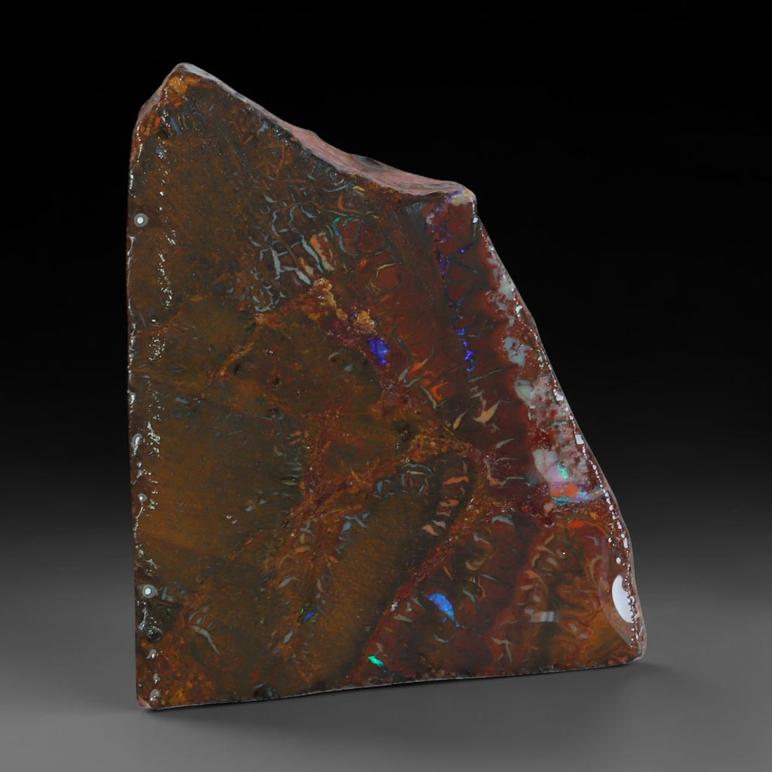 56.50ct Natural Australian Queensland Boulder Opal Sliced Slab Cutting Rough, 78AX: Natural sliced slab rough of Queensland boulder opal cutting grade, featuring rich color ironstone matrix with patterns. The face clearly reveals extensive opal veining and pocket formations running t