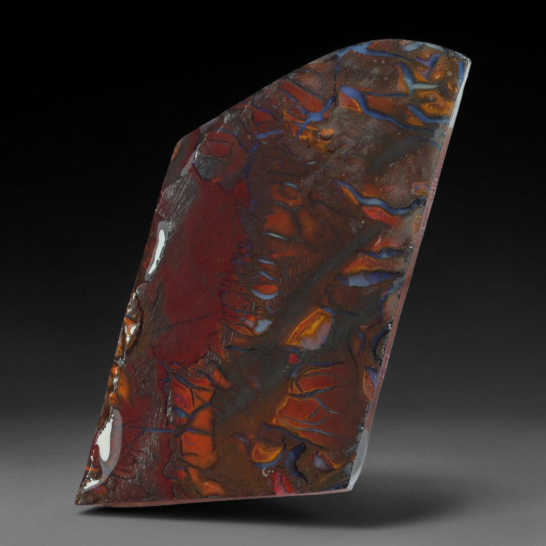 44.25ct Natural Australian Queensland Boulder Opal Sliced Slab Cutting Rough, 48AY: Natural sliced slab rough of Queensland boulder opal cutting grade, featuring rich color ironstone matrix with patterns. The face clearly reveals extensive opal veining and pocket formations running t