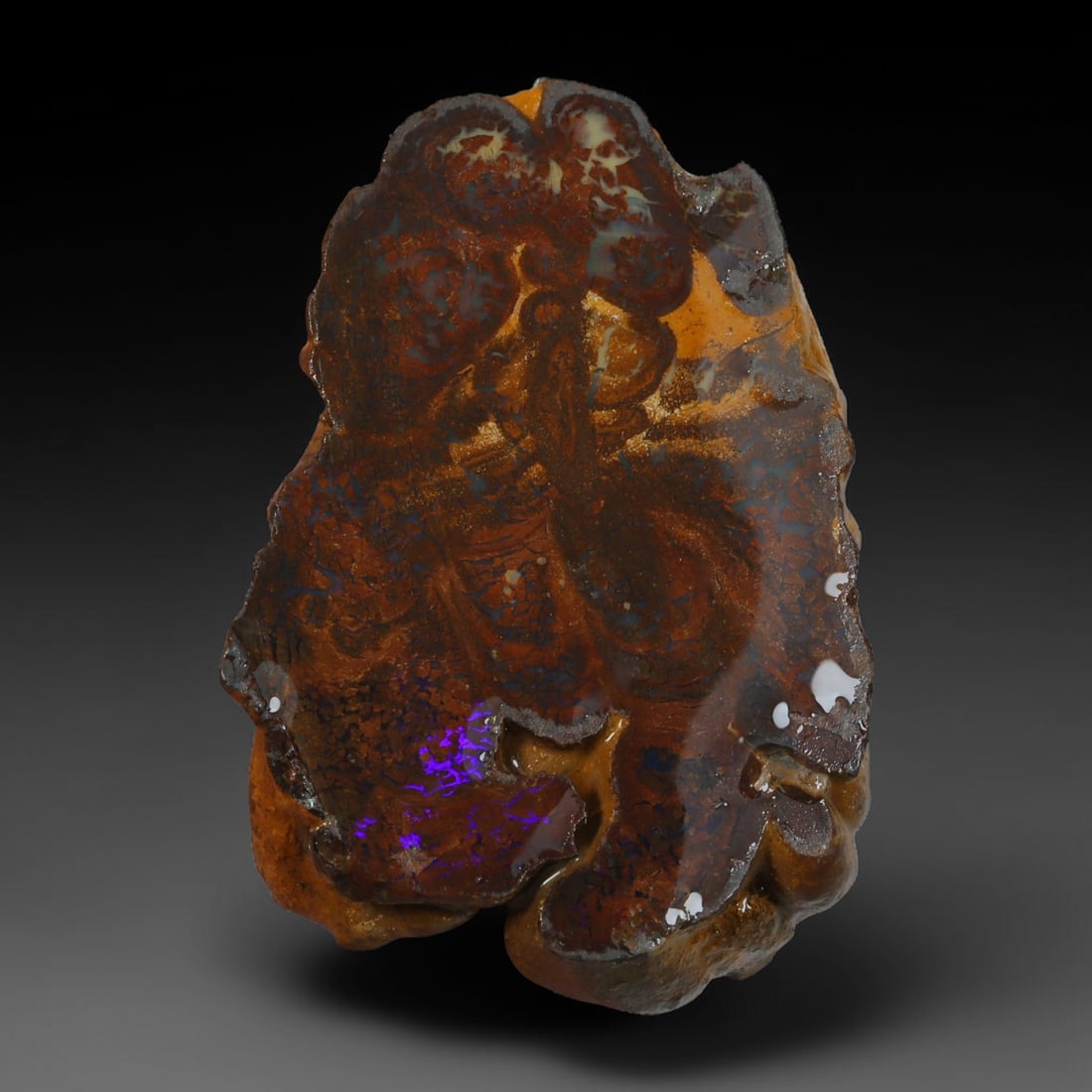 33.43ct Natural Australian Queensland Boulder Opal Sliced Slab Cutting Rough, 66AY (1 of 2)