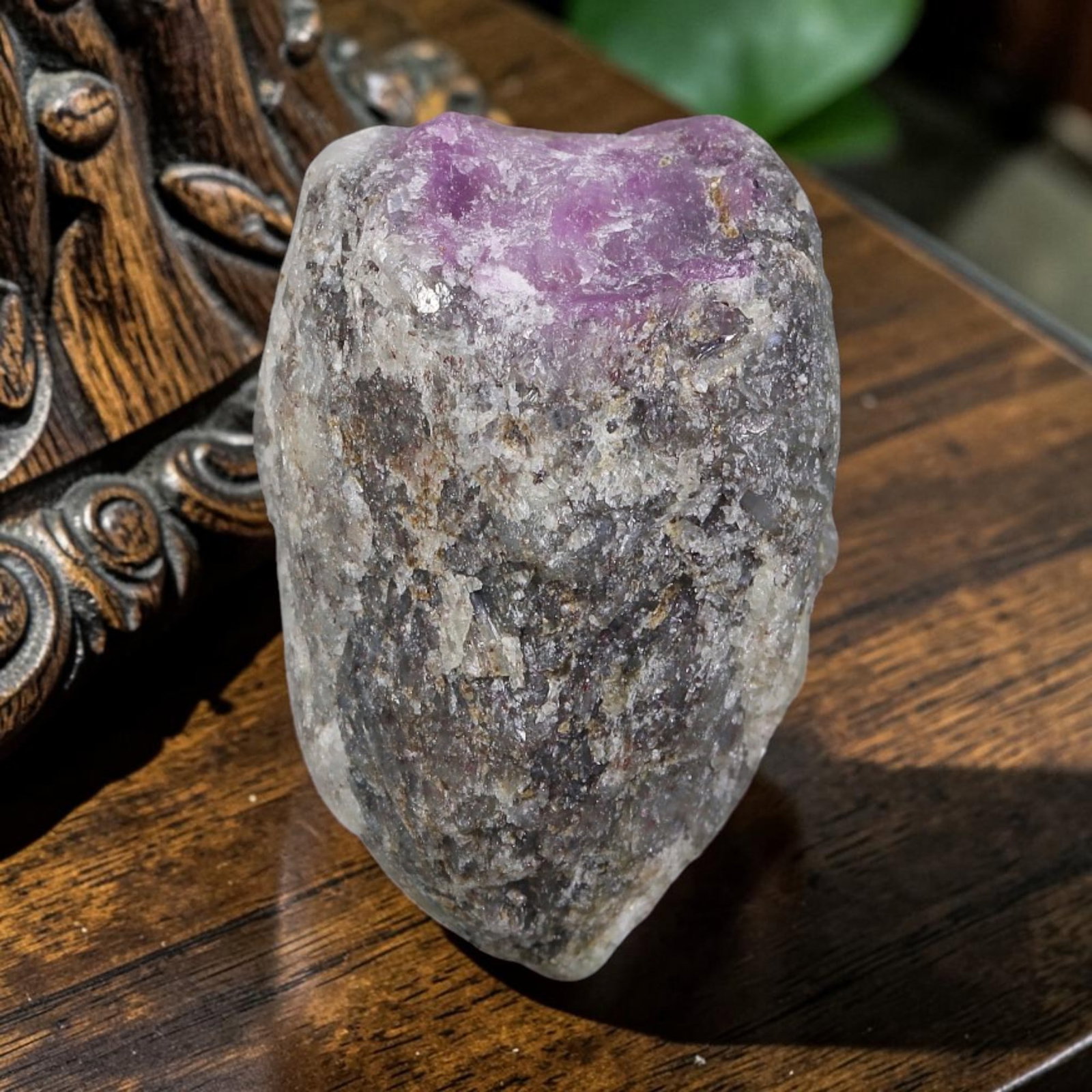 48.09ct Natural Mauritania Ruby Rough (Unheated), 51AT: Natural unheated corundum rough recovered from Mauritanian gem-bearing strata, shaped in an elongated tapered form with a distinct band of saturated magenta-pink ruby corundum concentrated along the u
