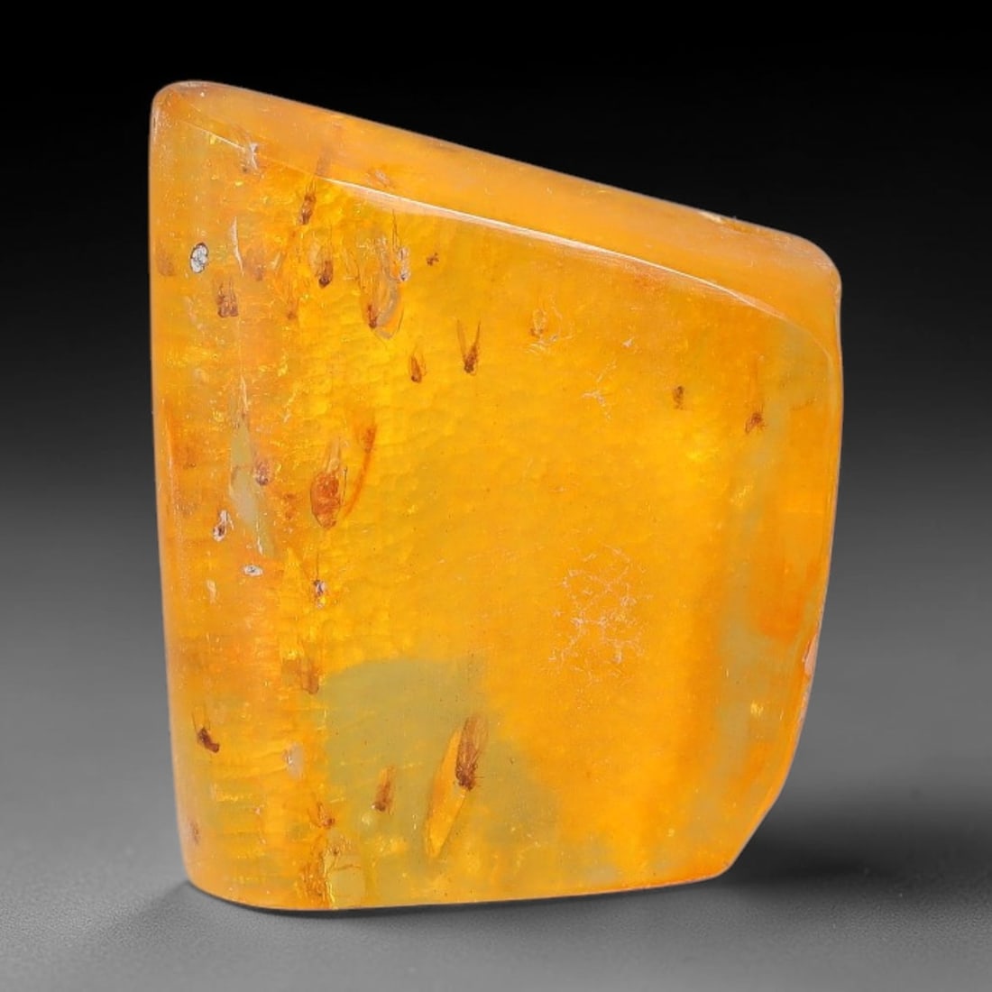 15.60ct Natural Baltic Polished Loose Freeform Amber Gemstone, 43EB: This smoothly polished freeform amber piece carries warm translucent organic clarity with fine natural fossil flecks and tiny mineral inclusions suspended throughout its 25x21mm flowing unstructured s