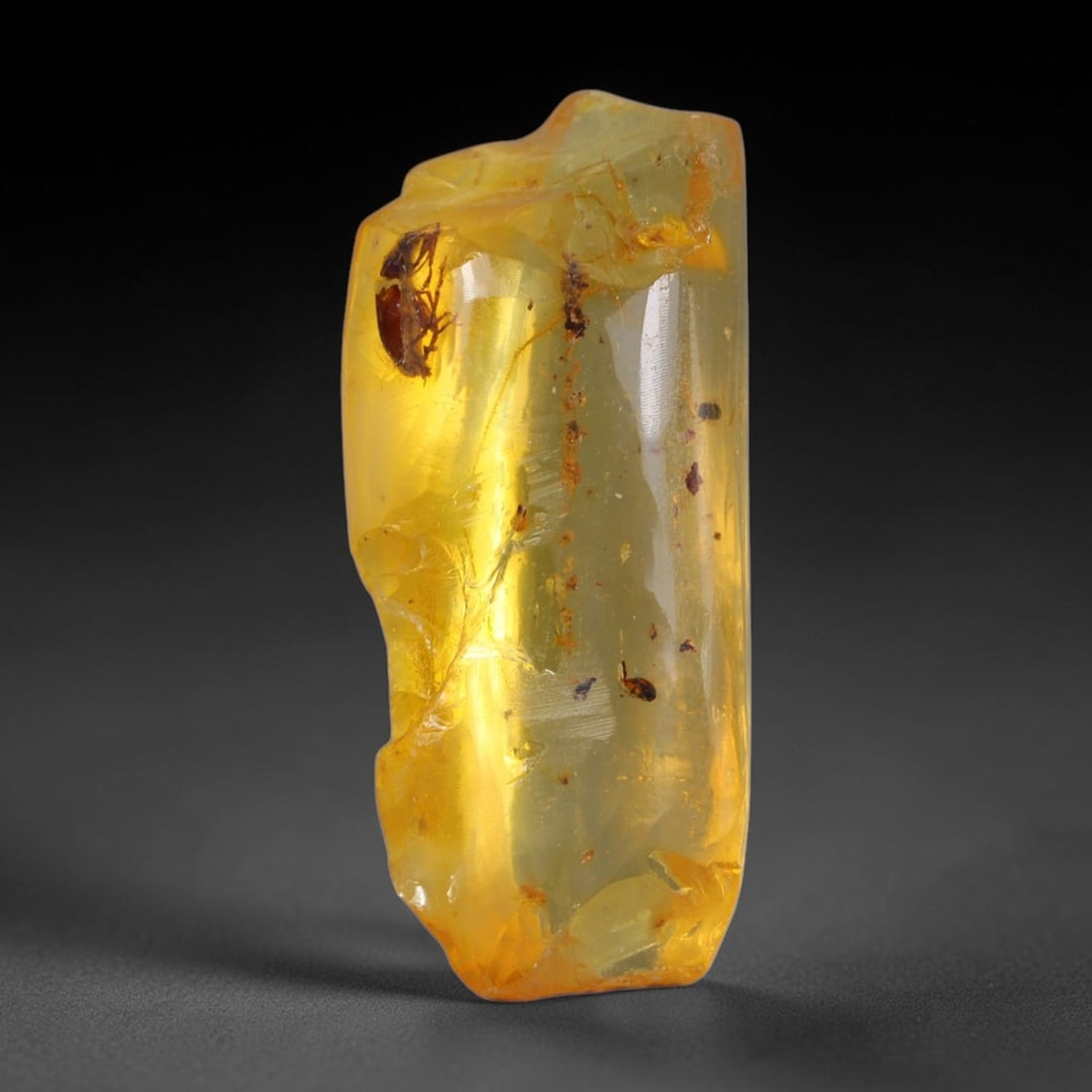 16.78ct Natural Baltic Polished Loose Freeform Amber Gemstone, 25AT: This smoothly polished freeform amber piece carries warm translucent organic clarity with fine natural fossil flecks and tiny mineral inclusions suspended throughout its 34x15mm flowing unstructured s
