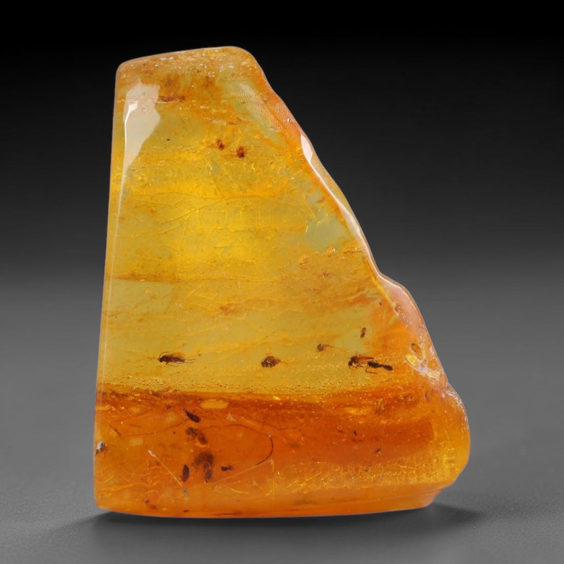 17.96ct Natural Baltic Polished Loose Freeform Amber Gemstone, 44AT: This smoothly polished freeform amber piece carries warm translucent organic clarity with fine natural fossil flecks and tiny mineral inclusions suspended throughout its 27x22mm flowing unstructured s
