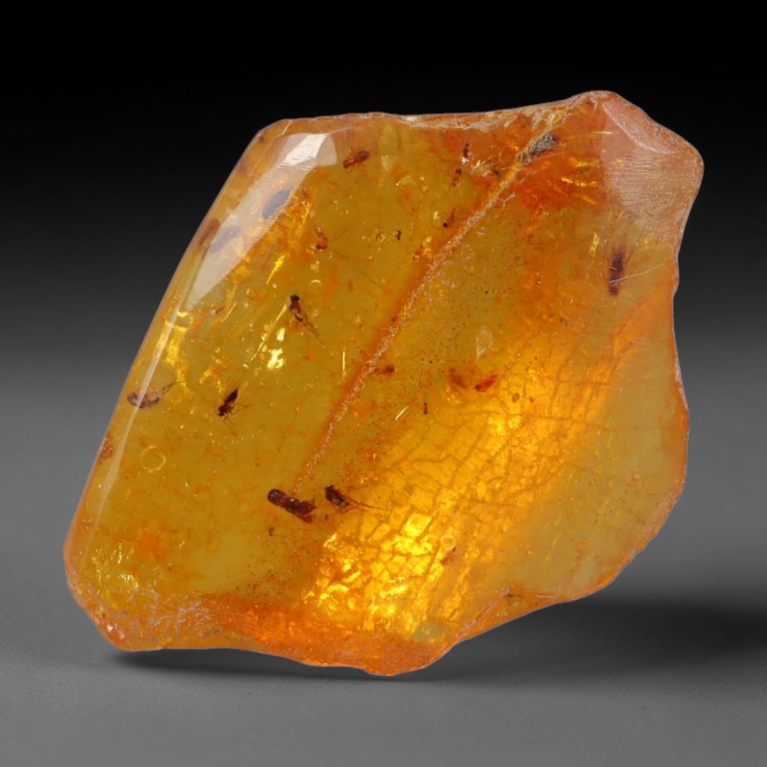 16.63ct Natural Baltic Polished Loose Freeform Amber Gemstone, 22AT: This smoothly polished freeform amber piece carries warm translucent organic clarity with fine natural fossil flecks and tiny mineral inclusions suspended throughout its 29x21mm flowing unstructured s