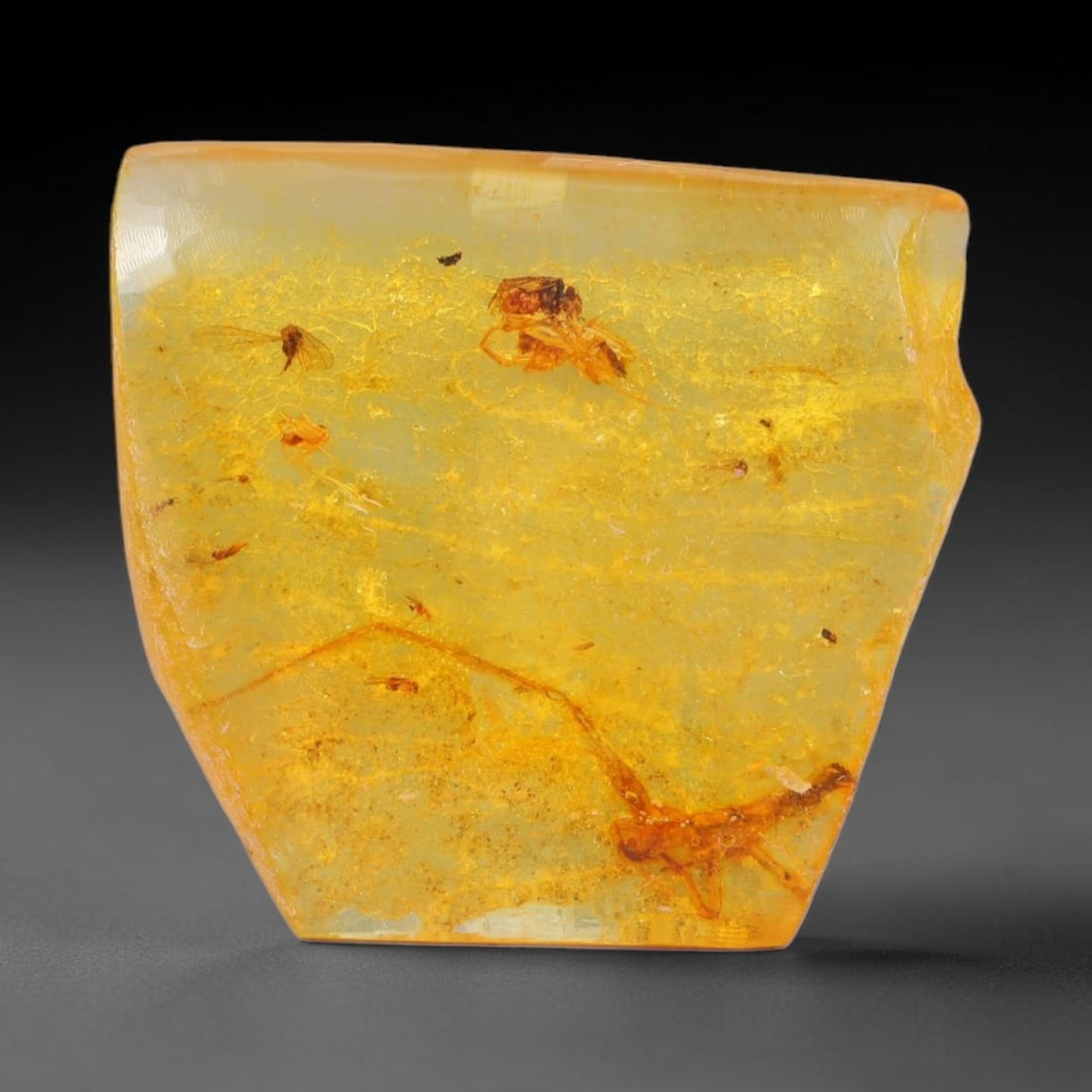 14.53ct Natural Baltic Polished Loose Freeform Amber Gemstone, 23AT: This smoothly polished freeform amber piece carries warm translucent organic clarity with fine natural fossil flecks and tiny mineral inclusions suspended throughout its 26x24mm flowing unstructured s