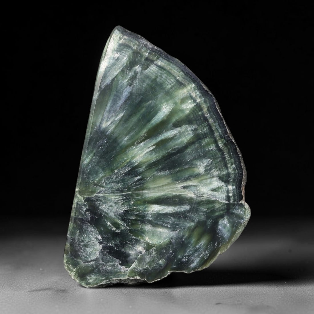 75ct Natural Siberian Seraphinite Polished Rough Slab, 26AR: This polished mineral slab is natural seraphinite originating from Siberian deposits, displaying characteristic radiating crystalline fibrous formations with layered deep forest and silvery green band
