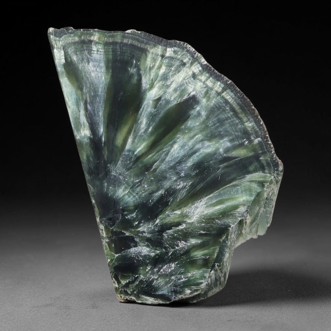 65ct Natural Siberian Seraphinite Polished Rough Slab, 58AR: This polished mineral slab is natural seraphinite originating from Siberian deposits, displaying characteristic radiating crystalline fibrous formations with layered deep forest and silvery green band