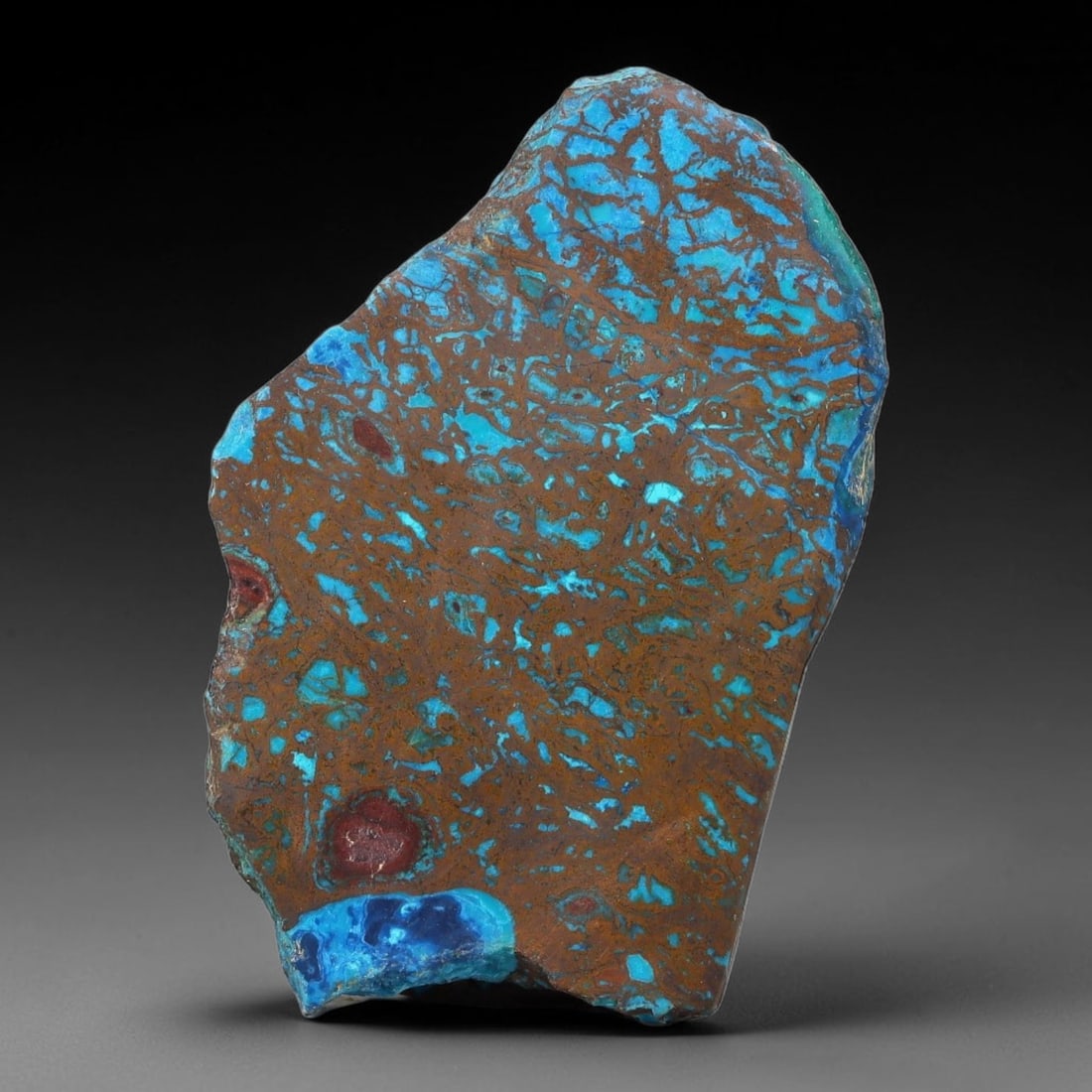 145ct Natural Peruvian Chrysocolla Polished Slab Rough, 61AR: This partial-polished chrysocolla slab features blended mineral matrix with smooth refined face and unaltered natural rugged edge across its 48x30x10mm elongated form, translucent mineral layers hold 