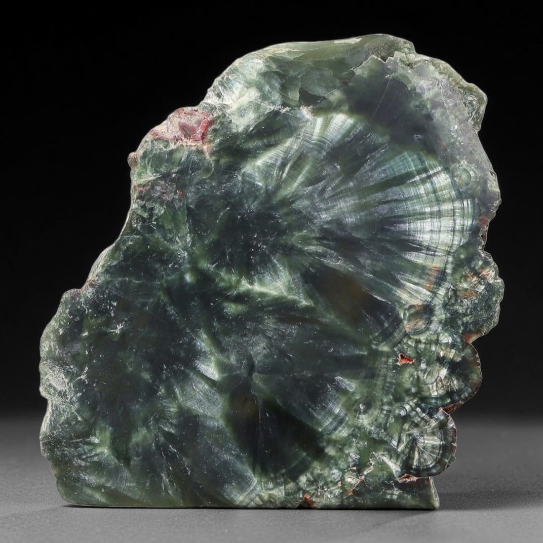 65ct Natural Siberian Seraphinite Polished Rough Slab, 78AR: This polished mineral slab is natural seraphinite originating from Siberian deposits, displaying characteristic radiating crystalline fibrous formations with layered deep forest and silvery green band