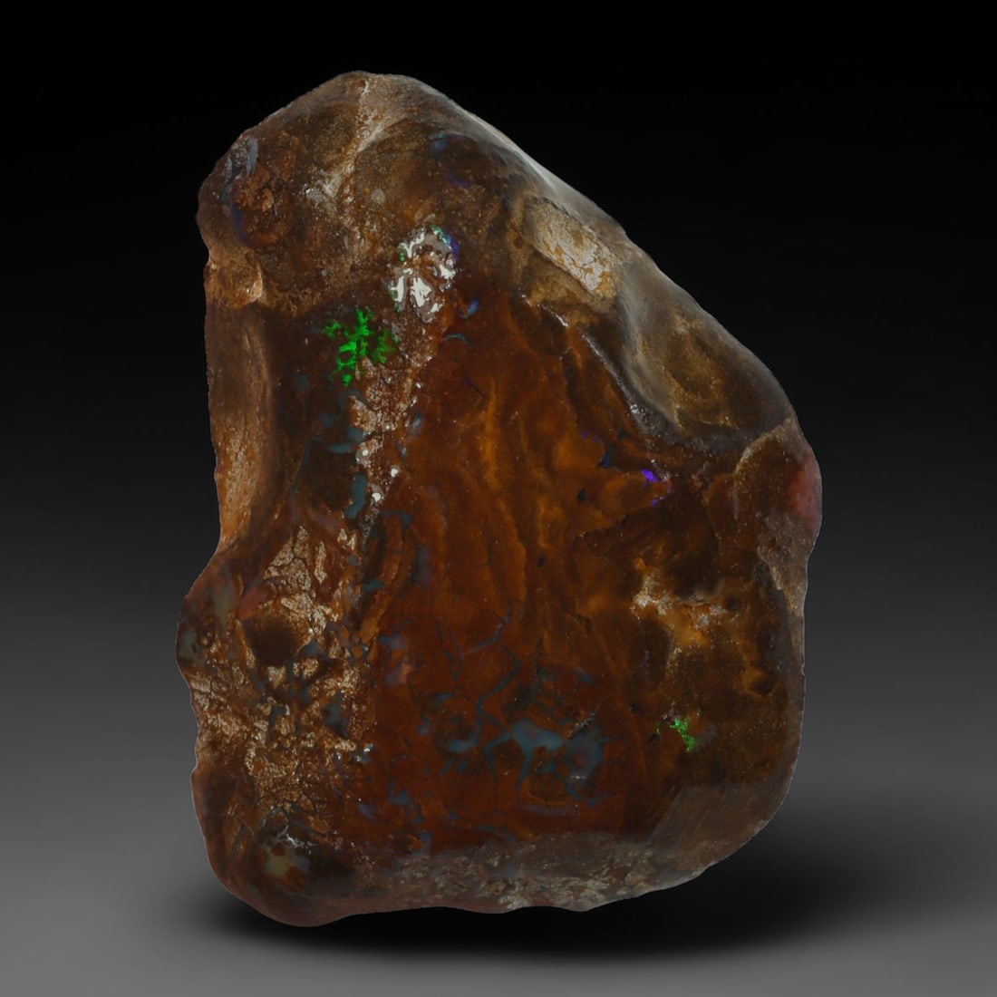 23.24ct Natural Australian Queensland Boulder Opal Sliced Slab Cutting Rough, 46AY: Natural sliced slab rough of Queensland boulder opal cutting grade, featuring rich color ironstone matrix with patterns. The face clearly reveals extensive opal veining and pocket formations running t